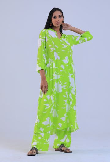 Conifer Viscose Cotton Kurta